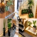 Top 100 Modern Indoor Plants Decoration Ideas 2022 | Indoor Garden | Home Interior Design Ideas