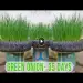 Recycle tires to grow green onions, too surprising for beginners
